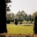 Autunno a Vienna, tra il foliage e il Parco di Schönbrunn 