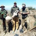 Ucraina, soldati scavano trincee e ritrovano antiche anfore romane