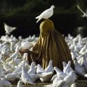 A Palermo la mostra denuncia di Steve McCurry per la libertà delle donne afghane