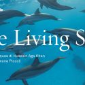 Venezia, al Museo di Storia Naturale la mostra “The Living Sea” sul mondo sottomarino di tre paesi