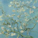 Vincent van Gogh, vita e opere del pittore olandese da record