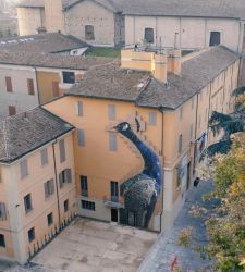 Una nuova opera collettiva per il Palazzo dei Musei: il grande pavone di Joan Fontcuberta 