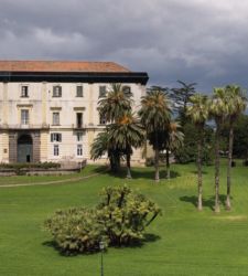 Lia Rumma dona al Museo di Capodimonte importante selezione della sua collezione