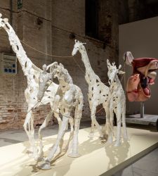Il pubblico medio della Biennale di Venezia vuole imparare o vuole divertirsi?