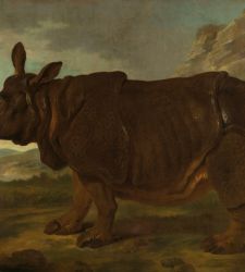 Il Rijksmuseum di Amsterdam dedica una mostra al rinoceronte più famoso della storia 