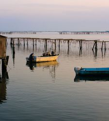 波河三角洲，值得一看：10 个阶段的旅程 