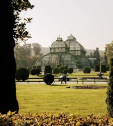 Autunno a Vienna, tra il foliage e il Parco di Schönbrunn 