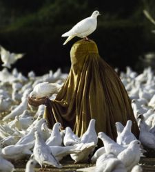 A Palermo la mostra denuncia di Steve McCurry per la libertà delle donne afghane