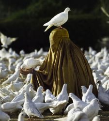 A Palermo la mostra denuncia di Steve McCurry per la libertÃ  delle donne afghane