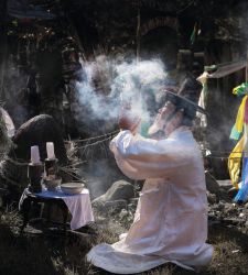 A Senigallia in mostra cento scatti naturalistici della fotografa Sue Park