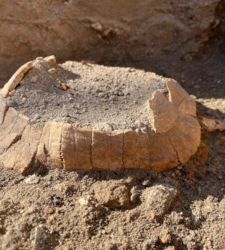Pompei, rinvenuti resti di una tartaruga con un uovo nel carapace 