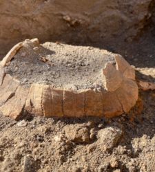 Pompeji, Überreste einer Schildkröte mit einem Ei in ihrem Panzer gefunden 
