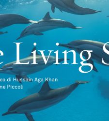 Venezia, al Museo di Storia Naturale la mostra “The Living Sea” sul mondo sottomarino di tre paesi