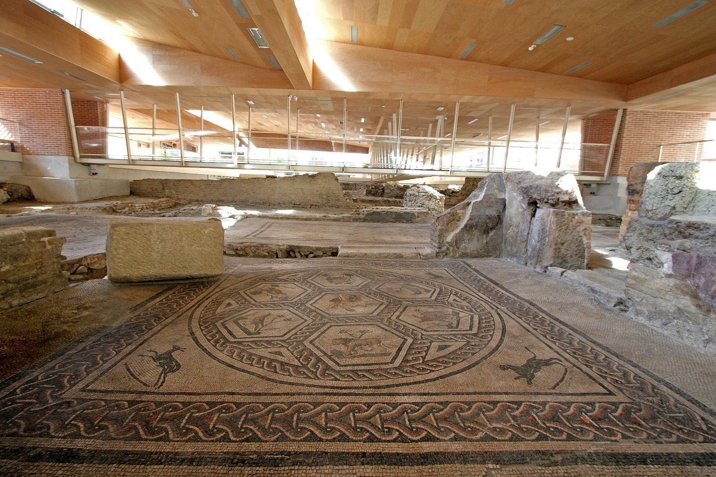 Le Domus du chirurgien