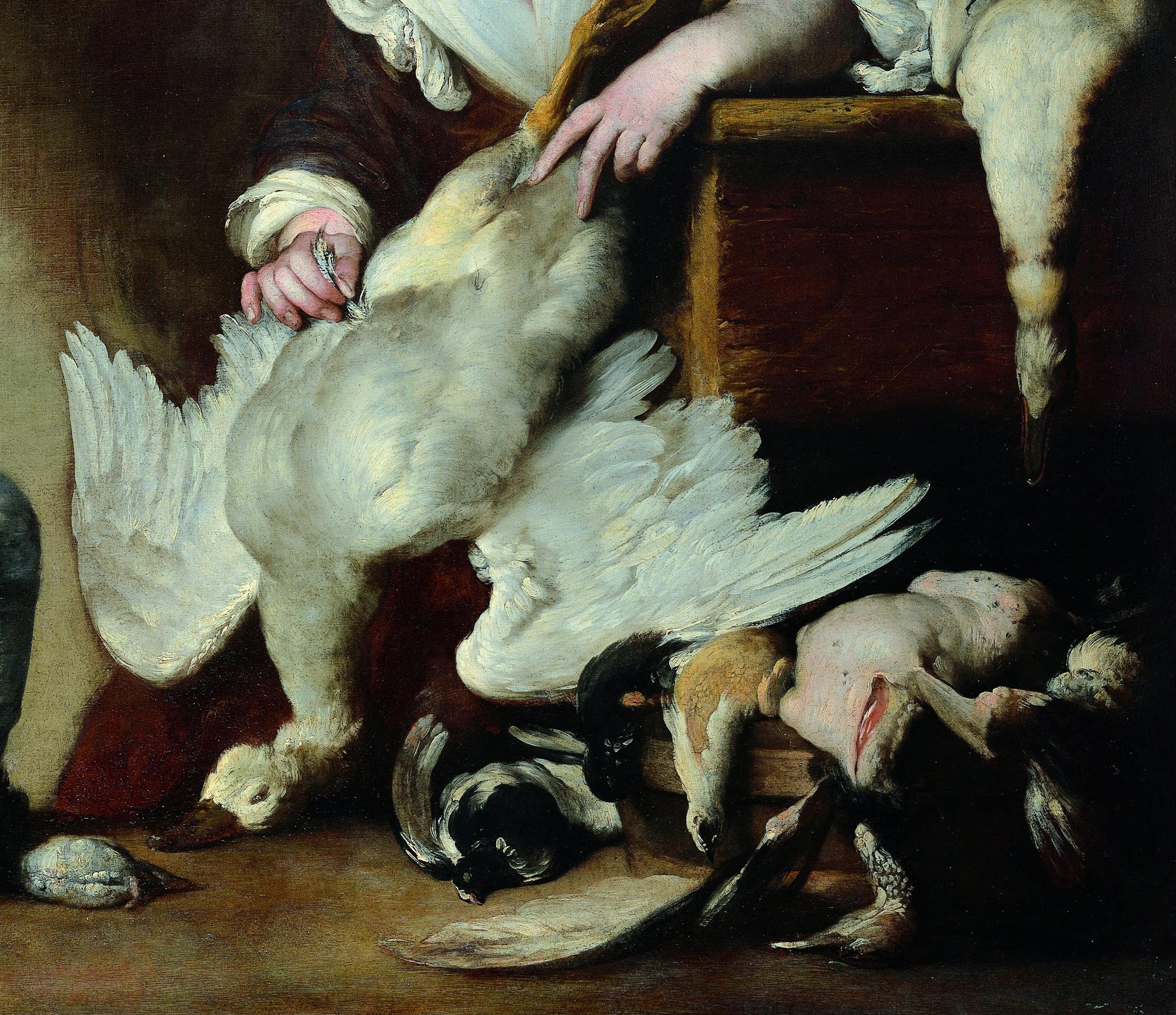 Bernardo Strozzi, The Cook, detail of the plumage of the goose