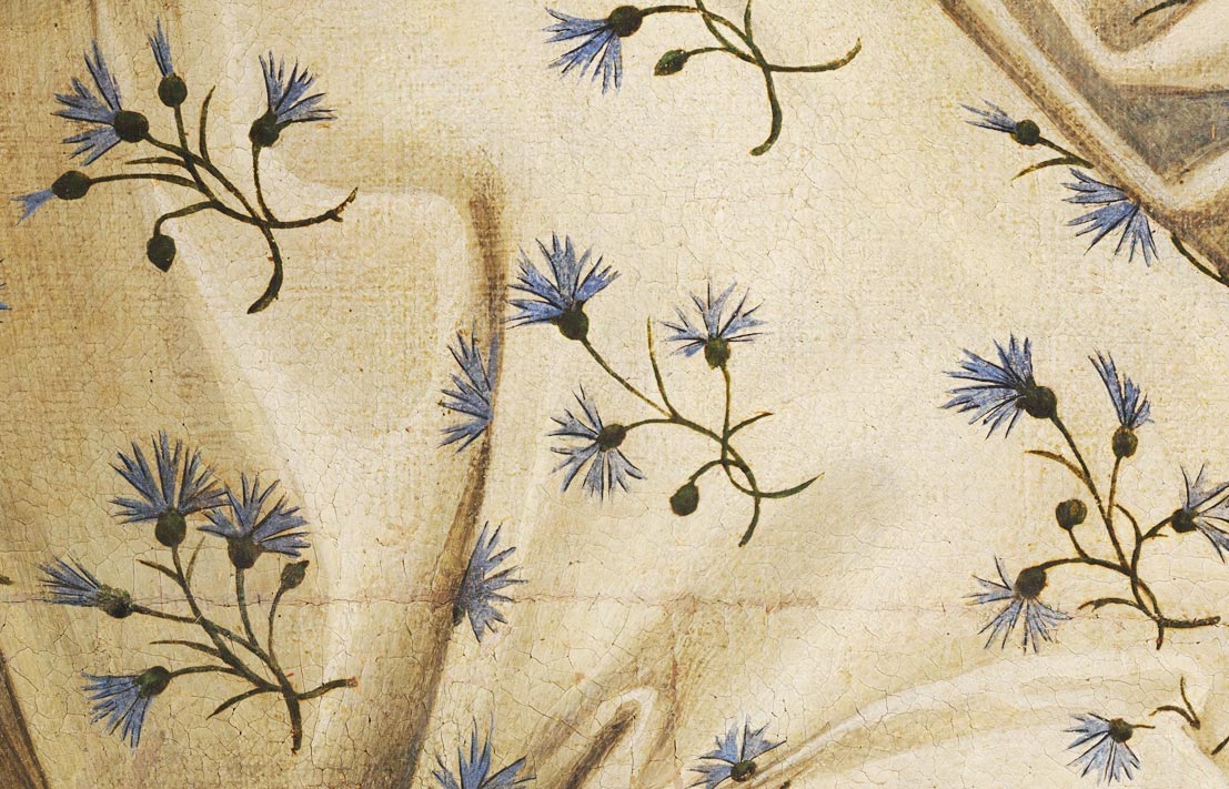 Sandro Botticelli, Birth of Venus, the cornflowers on the robe of the Ora