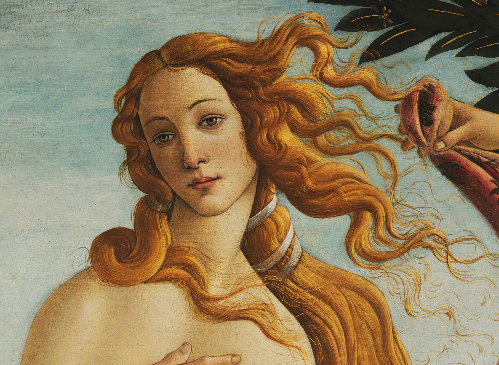 Sandro Botticelli, Birth of Venus, detail of the figure of Venus