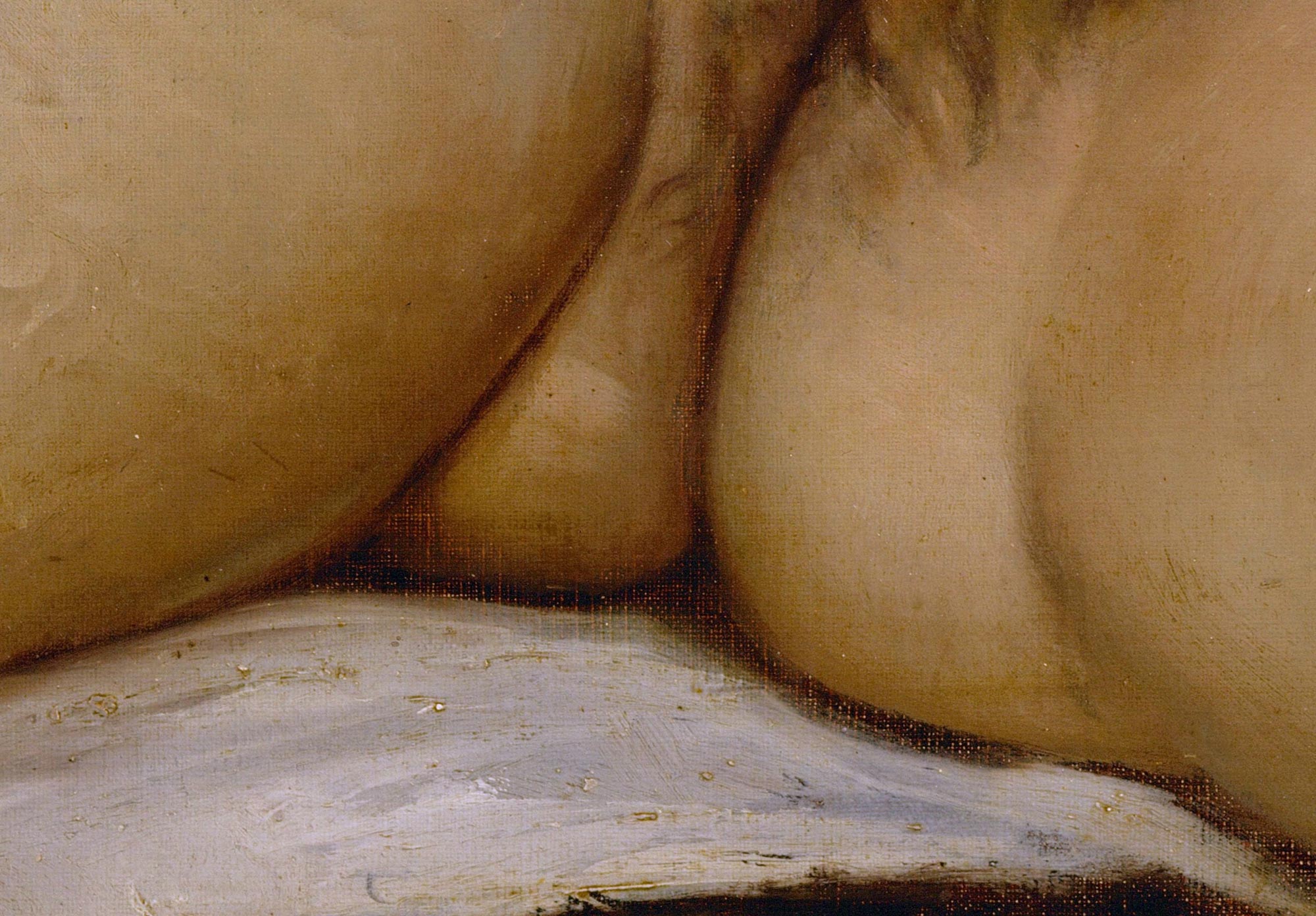 Gustave Courbet, L'Origine du Monde, dettaglio