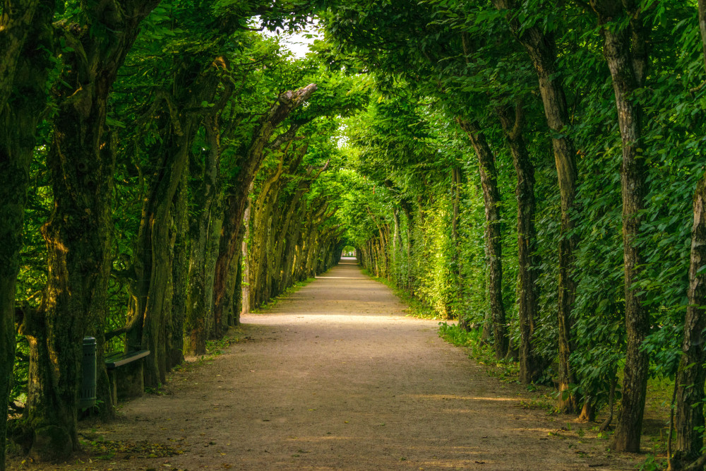 Pergola at the Hermitage. Photo by Meike Kratzer / Bayreuth Marketing & Tourismus GmbH