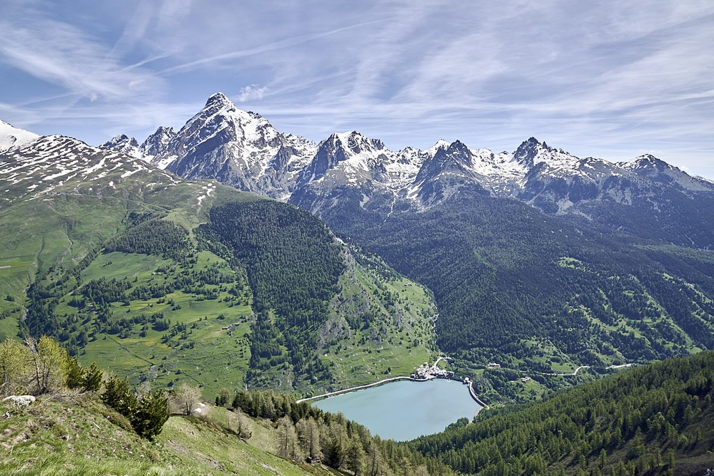 El bosque de Alevè