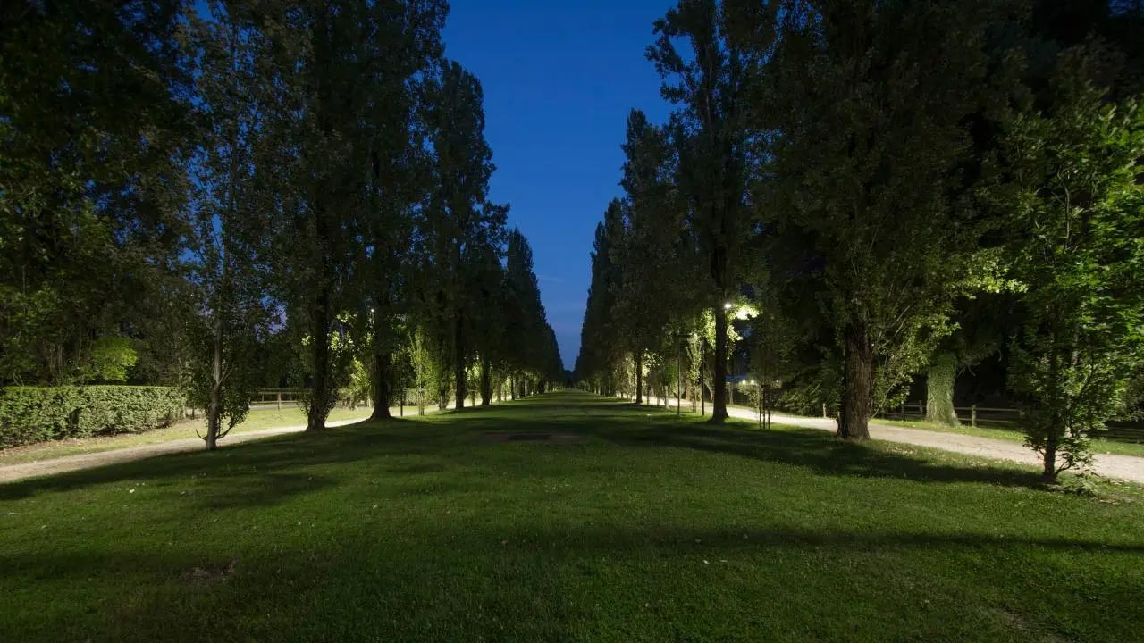 Il viale di Bosco Virgiliano con il nuovo impianto illuminotecnico. Foto: Bosch Italia