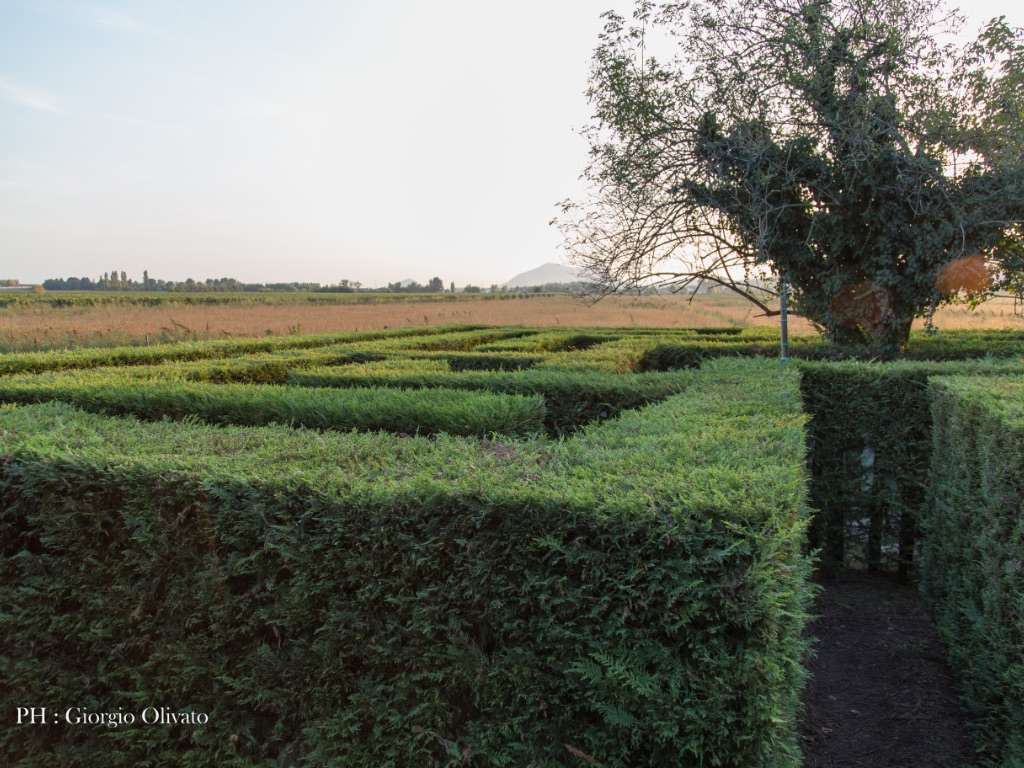 The Labyrinth of Maybe That Yes Maybe That No. Photo: San Pelagio Castle