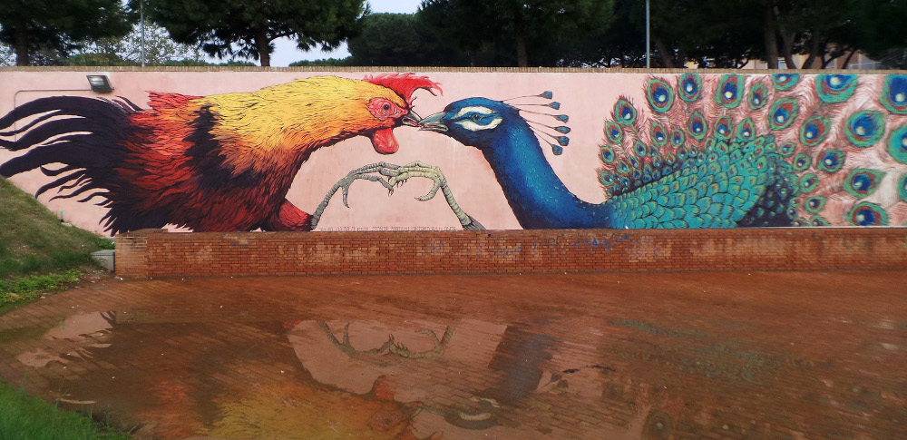 Ericailcane, The rooster and the peacock. Credit Visit Romagna