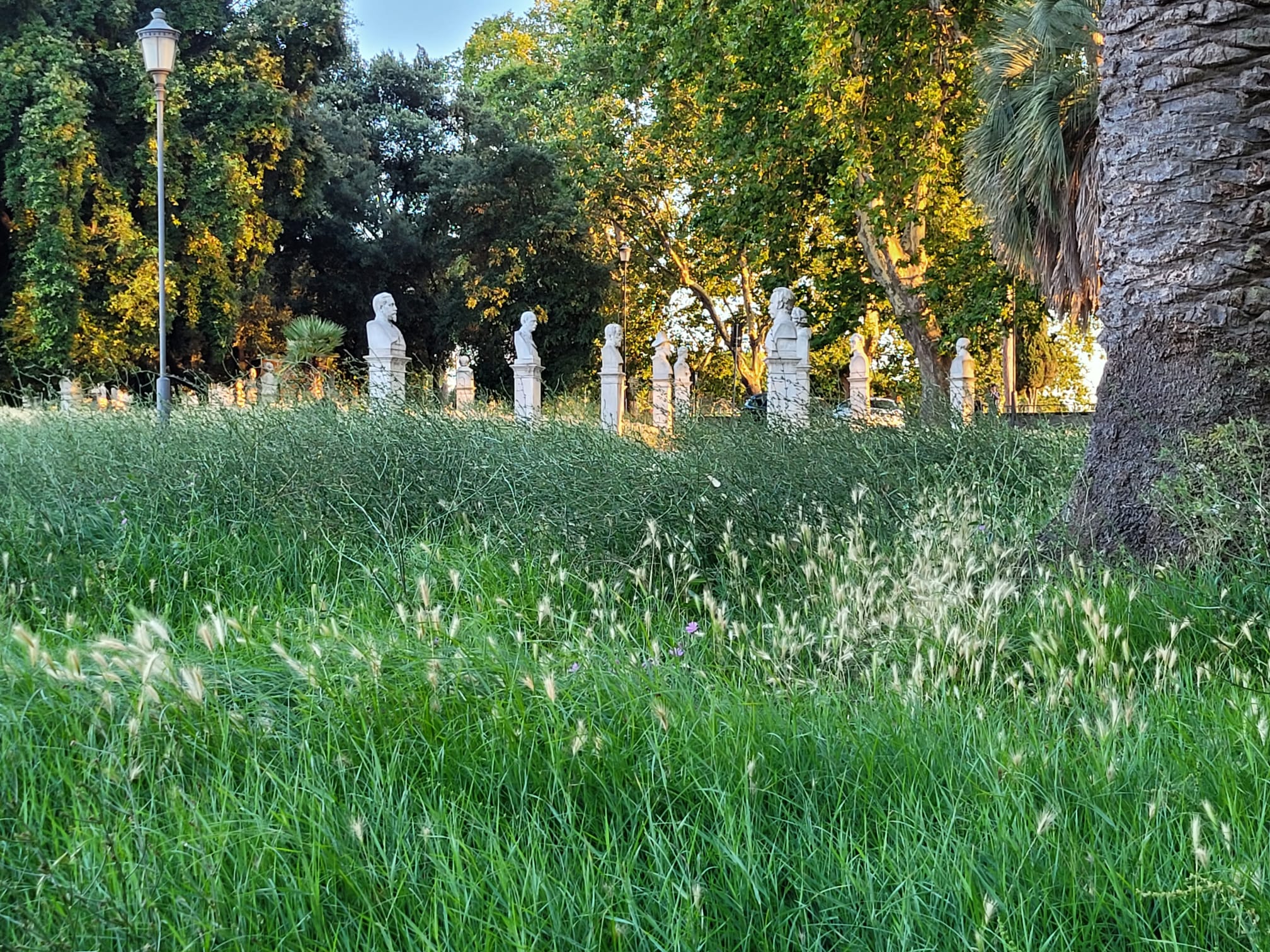 Roma La Passeggiata Del Gianicolo Scompare Tra Degrado Sporcizia E 