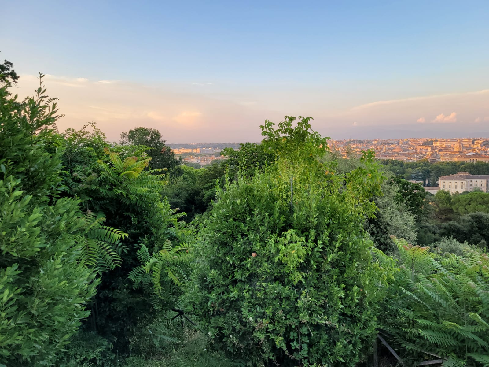 Roma La Passeggiata Del Gianicolo Scompare Tra Degrado Sporcizia E 
