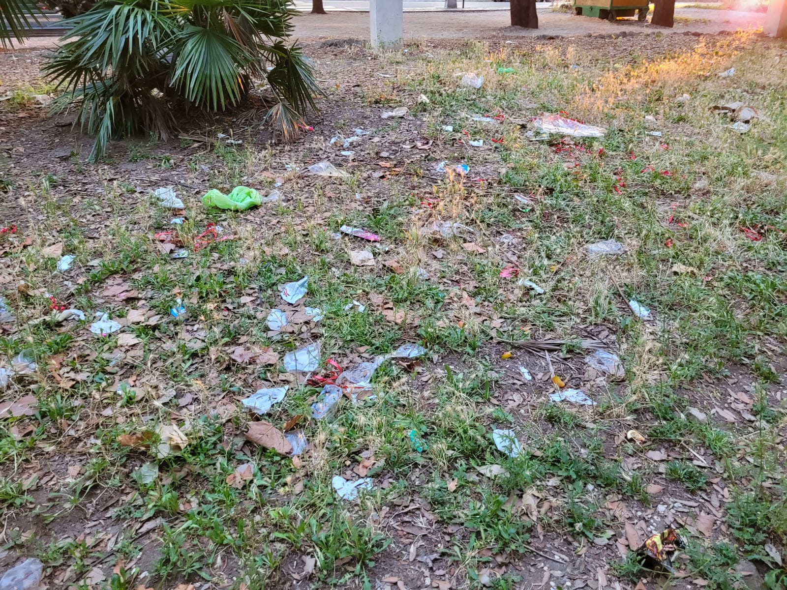 Roma La Passeggiata Del Gianicolo Scompare Tra Degrado Sporcizia E 