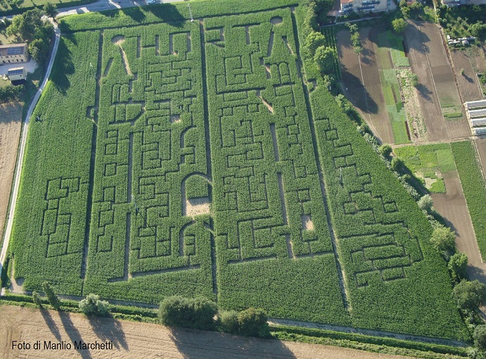 The Labyrinth of Hort of 2015