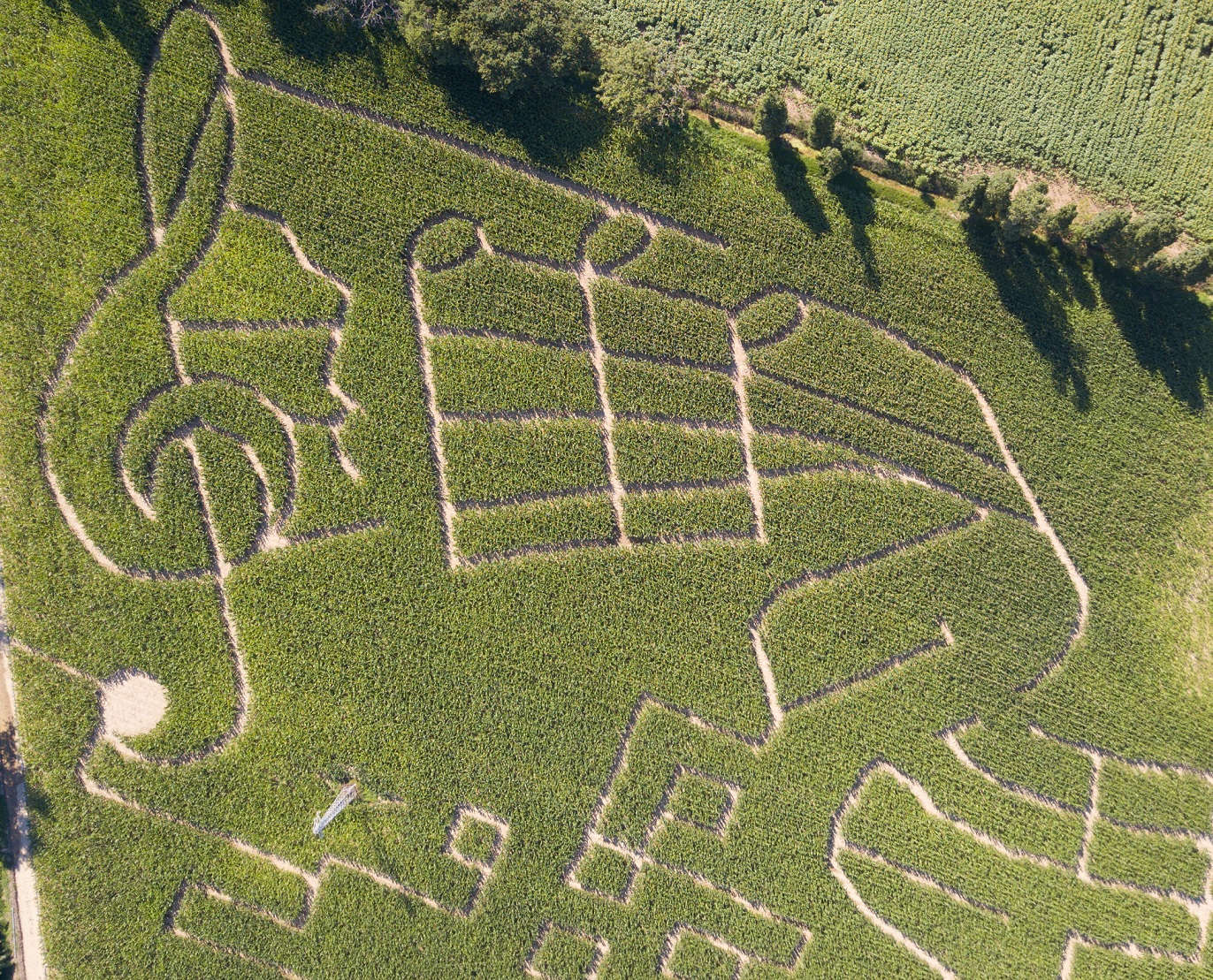 The Labyrinth of Hort of 2018