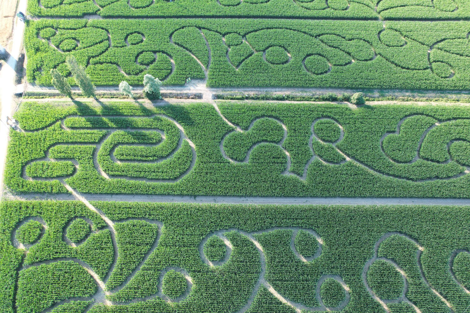 The Labyrinth of Hort of 2020