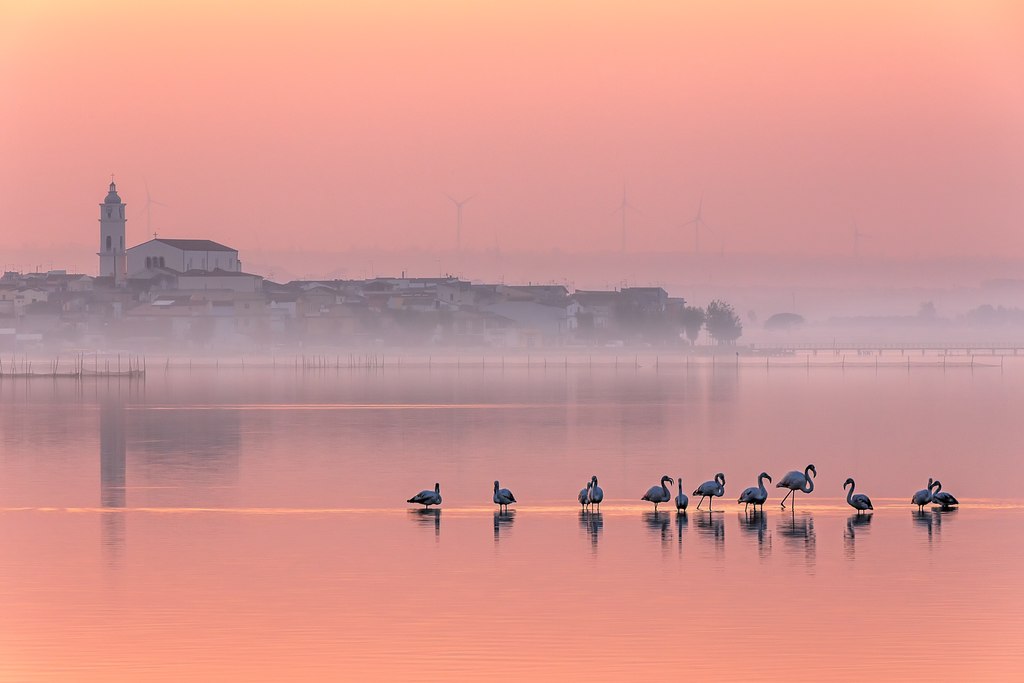 La Riserva Naturale del Lago di Lesina