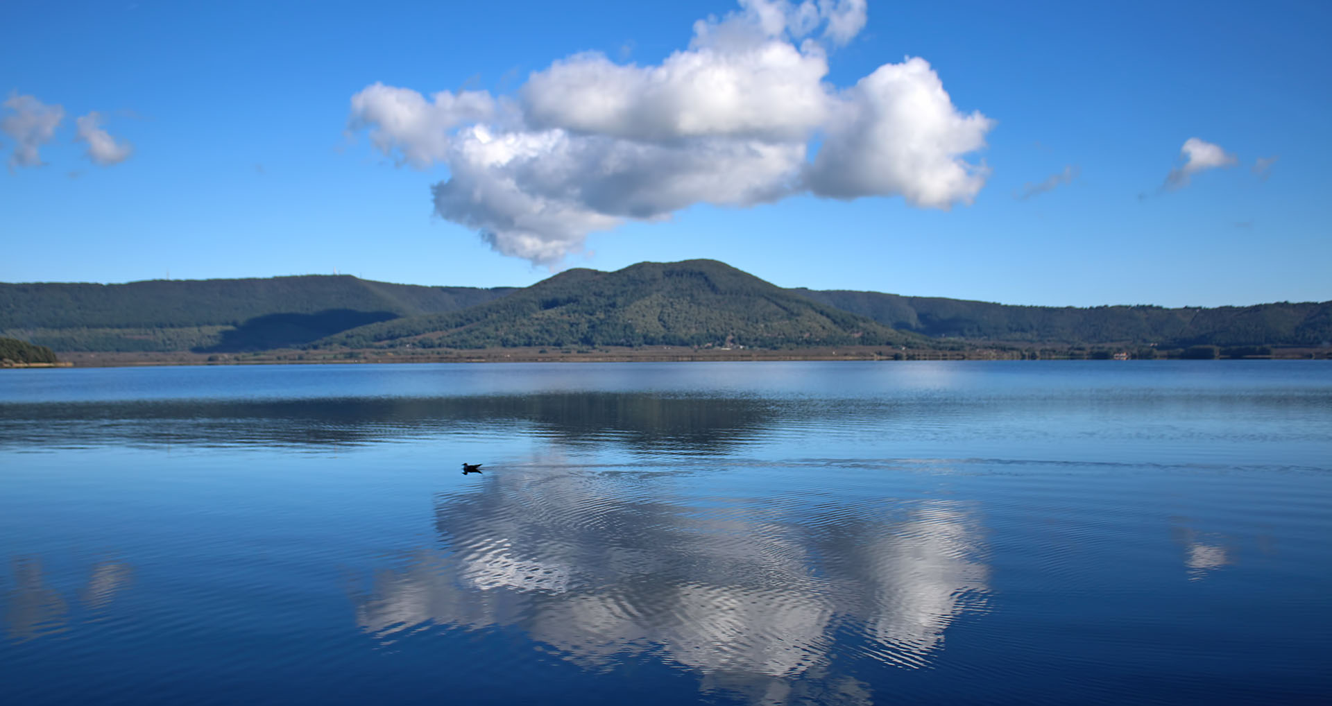 Lago di Vico. Foto: Pro Loco Ronciglione