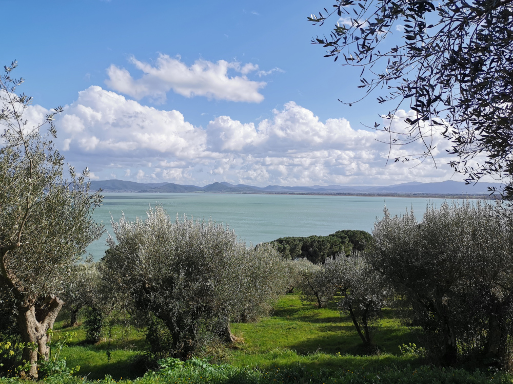 Lake Trasimeno