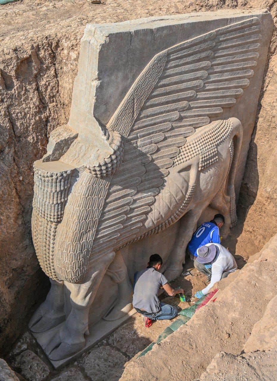 Il lamassu di Khorsabad