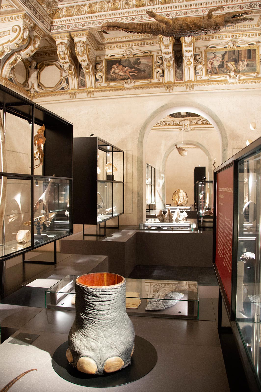 Mantova, novità a Palazzo Ducale: si amplia il percorso di visita e ...