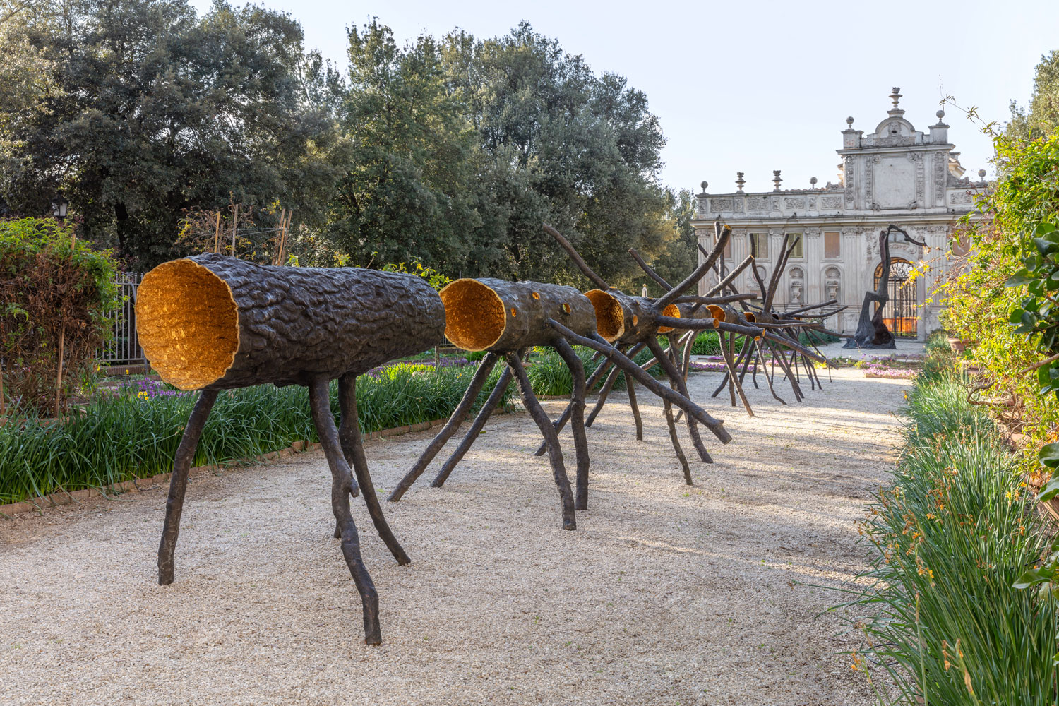 Allestimenti della mostra Giuseppe Penone. Gesti Universali
 Allestimenti della mostra Giuseppe Penone. Gesti Universali