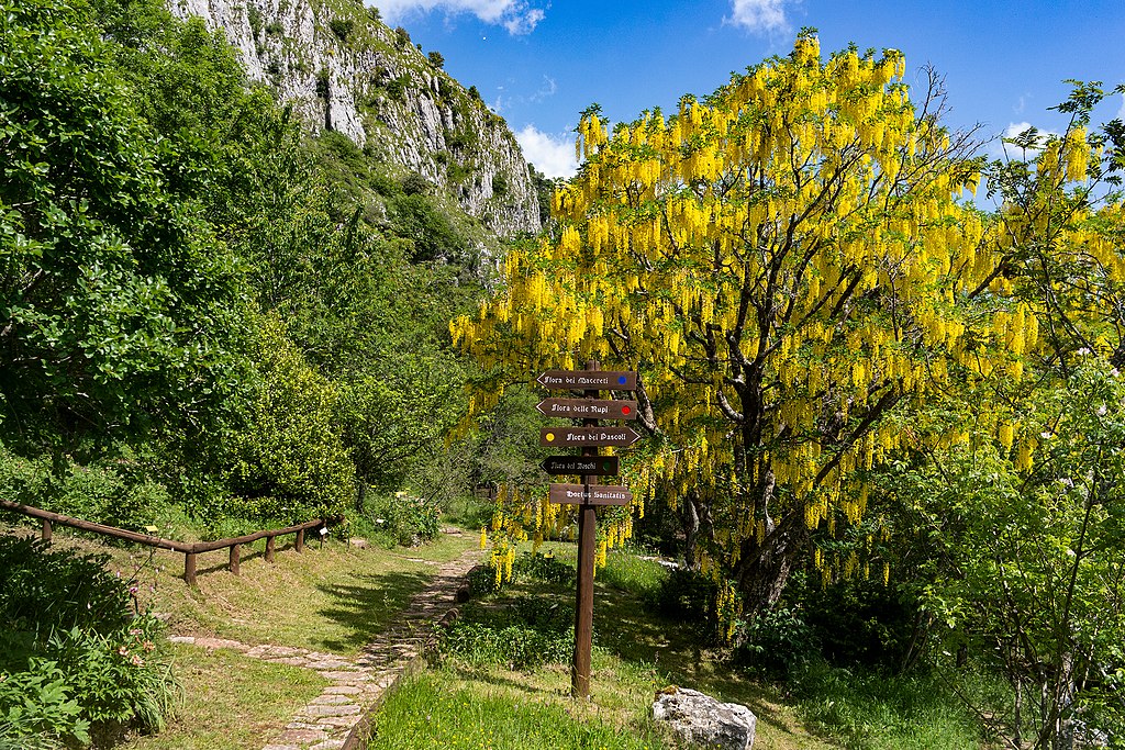 The botanical garden at Pania di Corfino. Photo: Emanuele Cheli