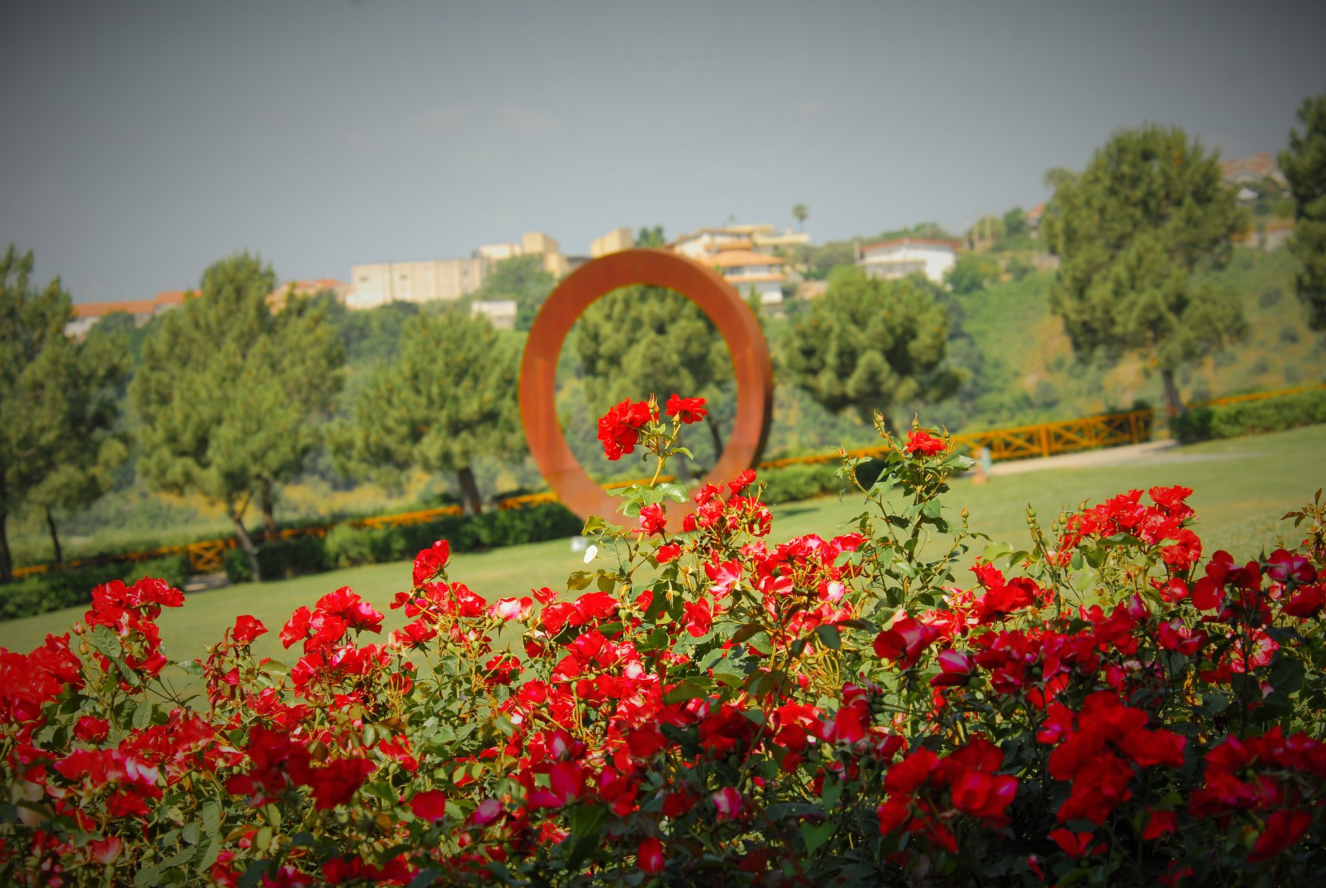 The Mediterranean Biodiversity Park in Catanzaro. Photo: Province of Catanzaro