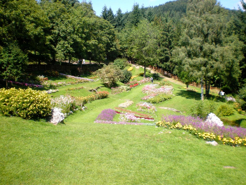 The Orecchiella Park