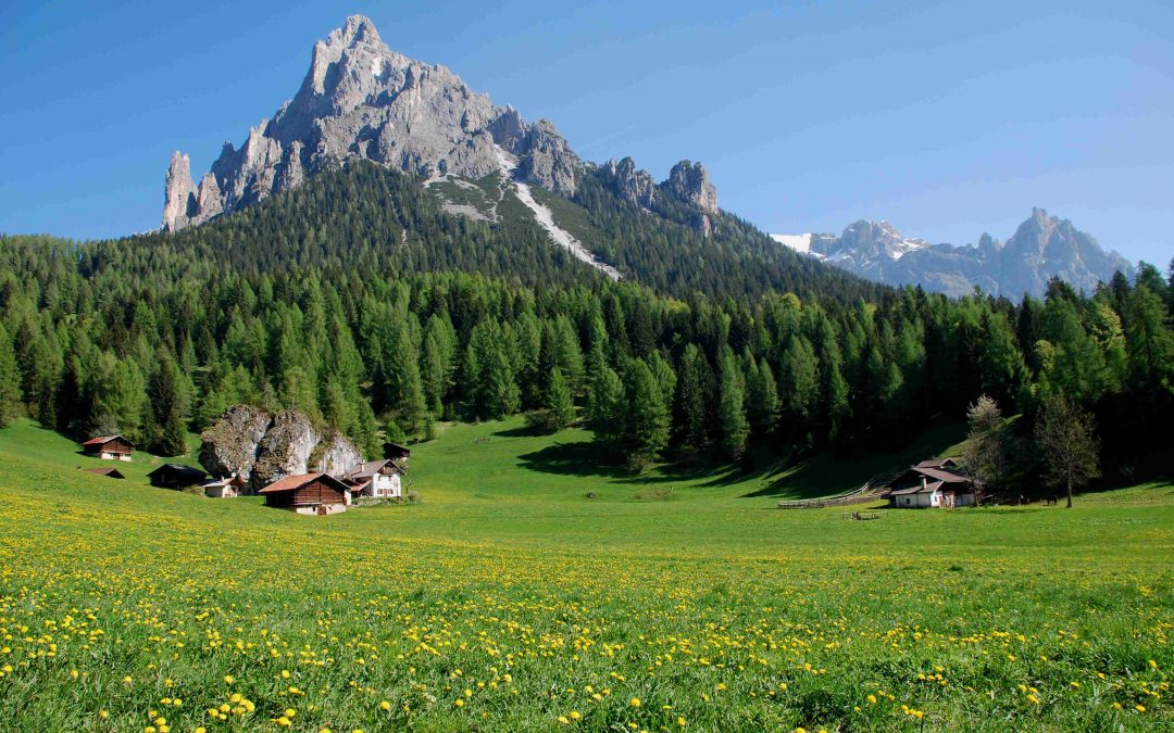 The Paneveggio Pale di San Martino Nature Park