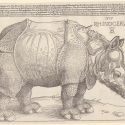 Lugano, in mostra stampe e disegni dei più grandi artisti di sempre, da Dürer a Warhol