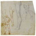 A Vinci una mostra sugli studi anatomici di Leonardo