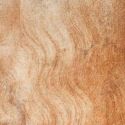 La madre di Leonardo da Vinci? Una schiava originaria del Caucaso: c'è la conferma