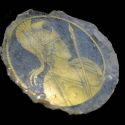 Roma, ritrovato un raro vetro con il ritratto della dea Roma: non si conoscevano oggetti simili