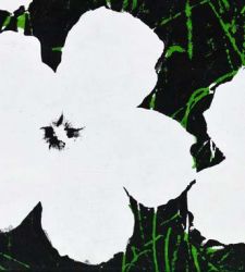 Like Andy Warhol's Flowers. Lightness versus what is ephemeral