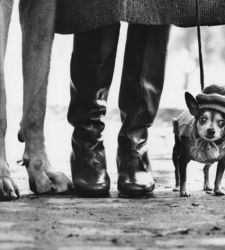 Alla Palazzina di Caccia di Stupinigi le fotografie di Elliott Erwitt sull'essere famiglia 