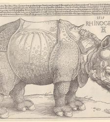 Lugano, in mostra stampe e disegni dei più grandi artisti di sempre, da Dürer a Warhol